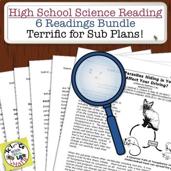 6 The digital divide AS A Level Information Technology 9626 Lesson Plans