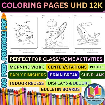 Whale Coloring Pages for Kids | Ocean Animal Coloring Book | 24 Cute Whale Print