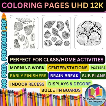 Seashell Coloring Pages for Kids | 8 Printable Beach & Ocean Shell Color Pages