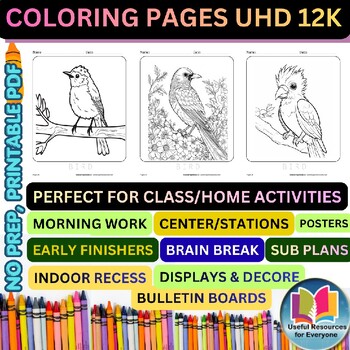 Bird Coloring Pages | 50 Printable Nature Wildlife Spring Art Activities Pack