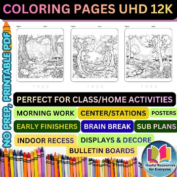 Summer Trees Coloring Pages | 50 Printable Nature Forest Sunshine Ecosystem Seas