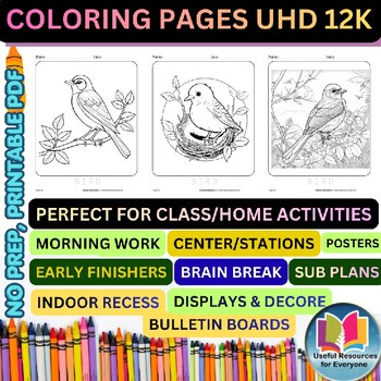 Bird Coloring Pages | 50 Printable Wildlife Nature Animal Science Ornithology