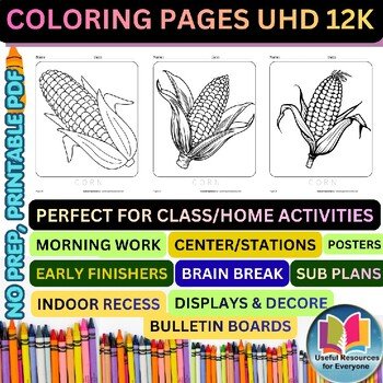 Corn Coloring Pages | 50 Printable Farm Harvest Vegetable Nutrition Autumn Learn